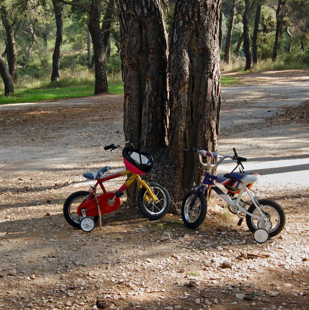 Bicicletas para Niños